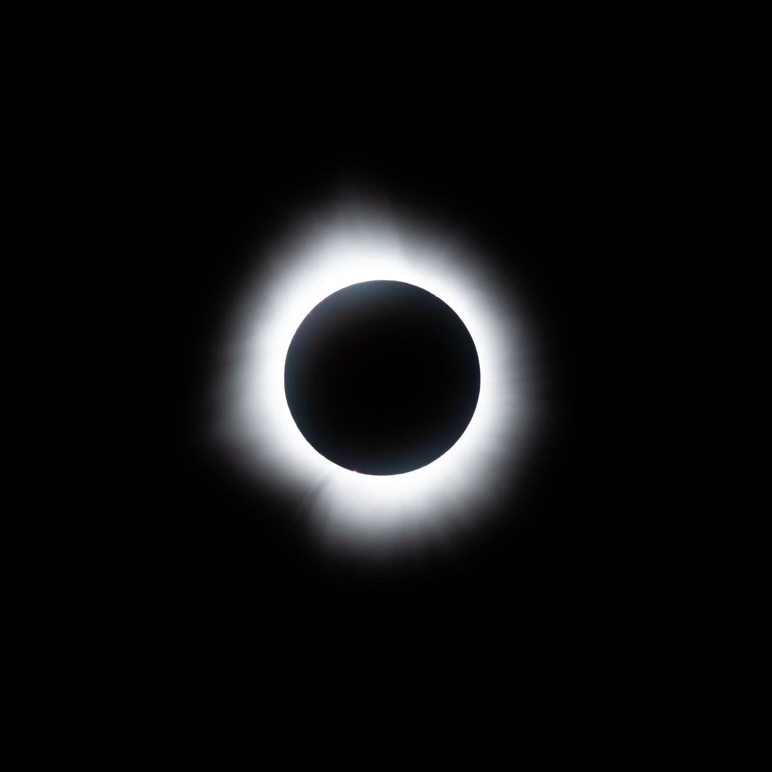 Solar Eclipse - Allie Richards Photography