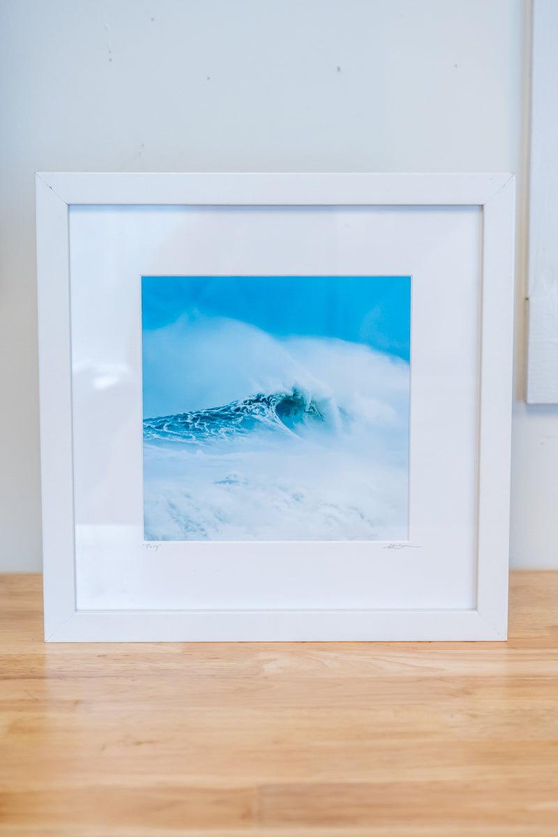 12x12 Framed "Fury" - Allie Richards Photography