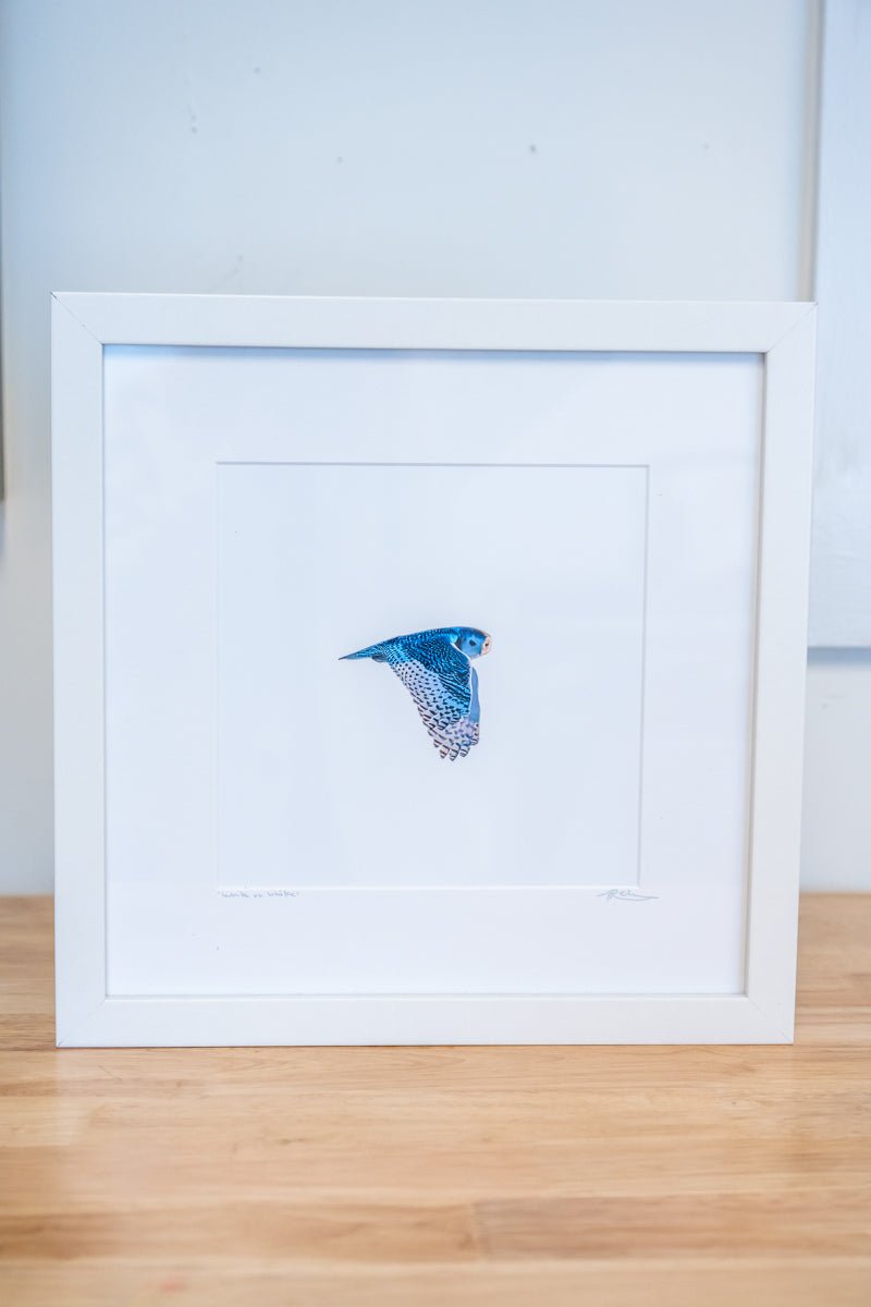 12x12 Framed "White on White" Snowy Owl - Allie Richards Photography