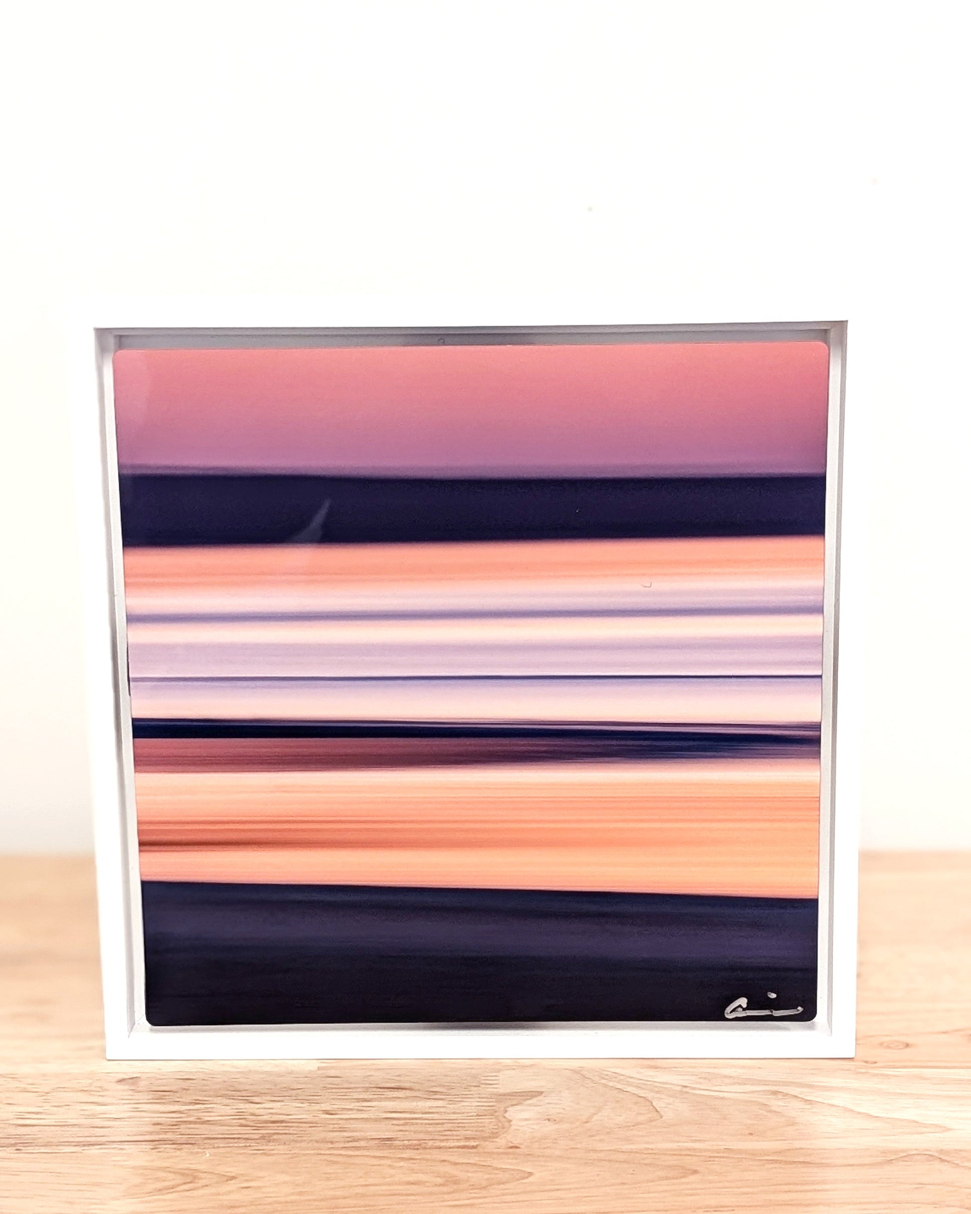 8x8 "First Encounter" Float Framed Metal (in White) - Allie Richards Photography