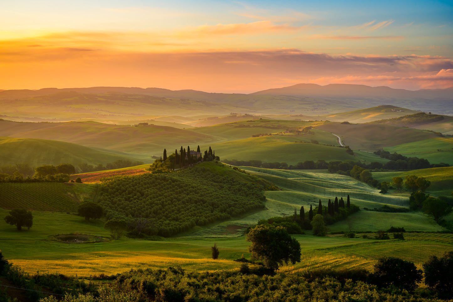 Hills of Gold