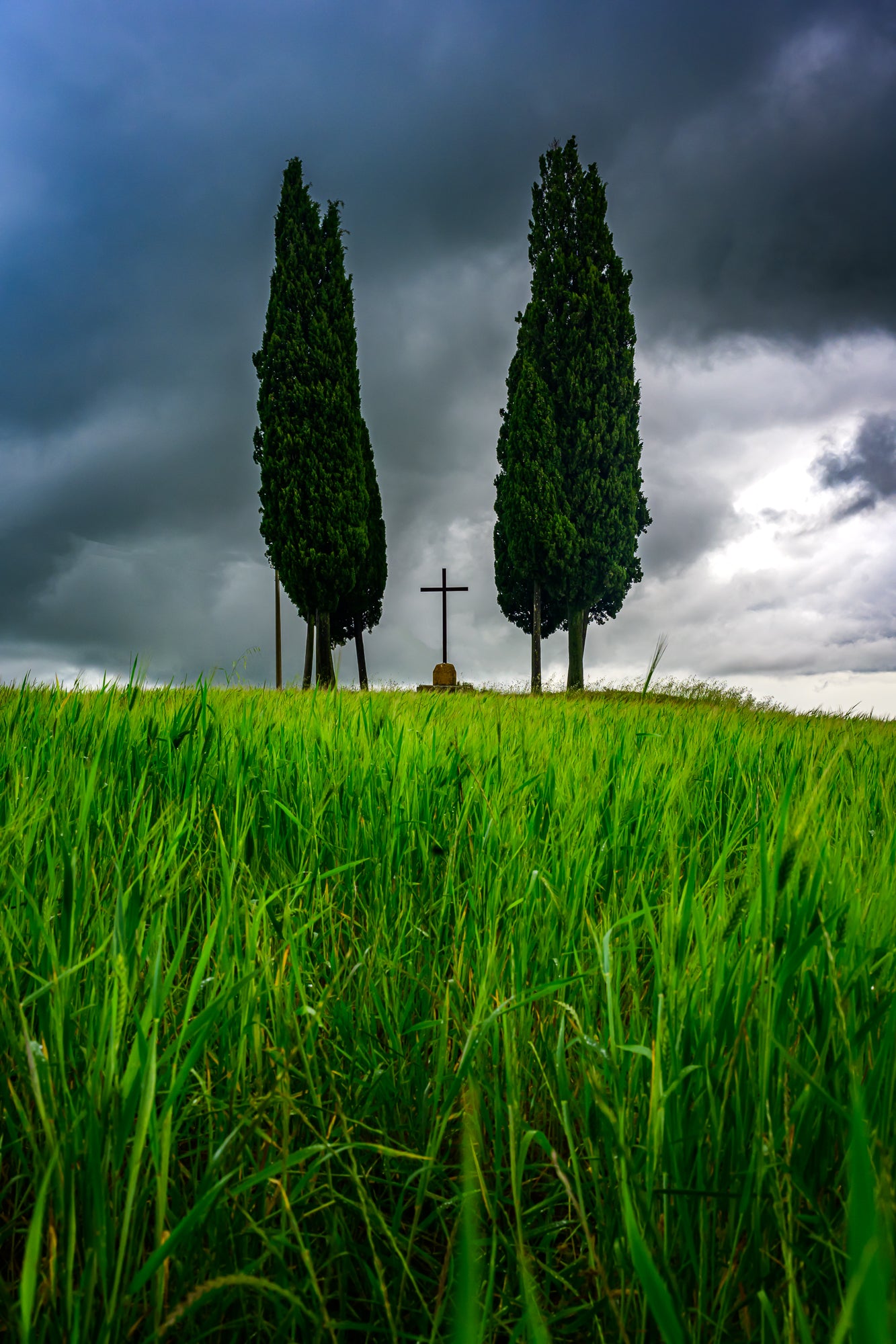 Silent Cross