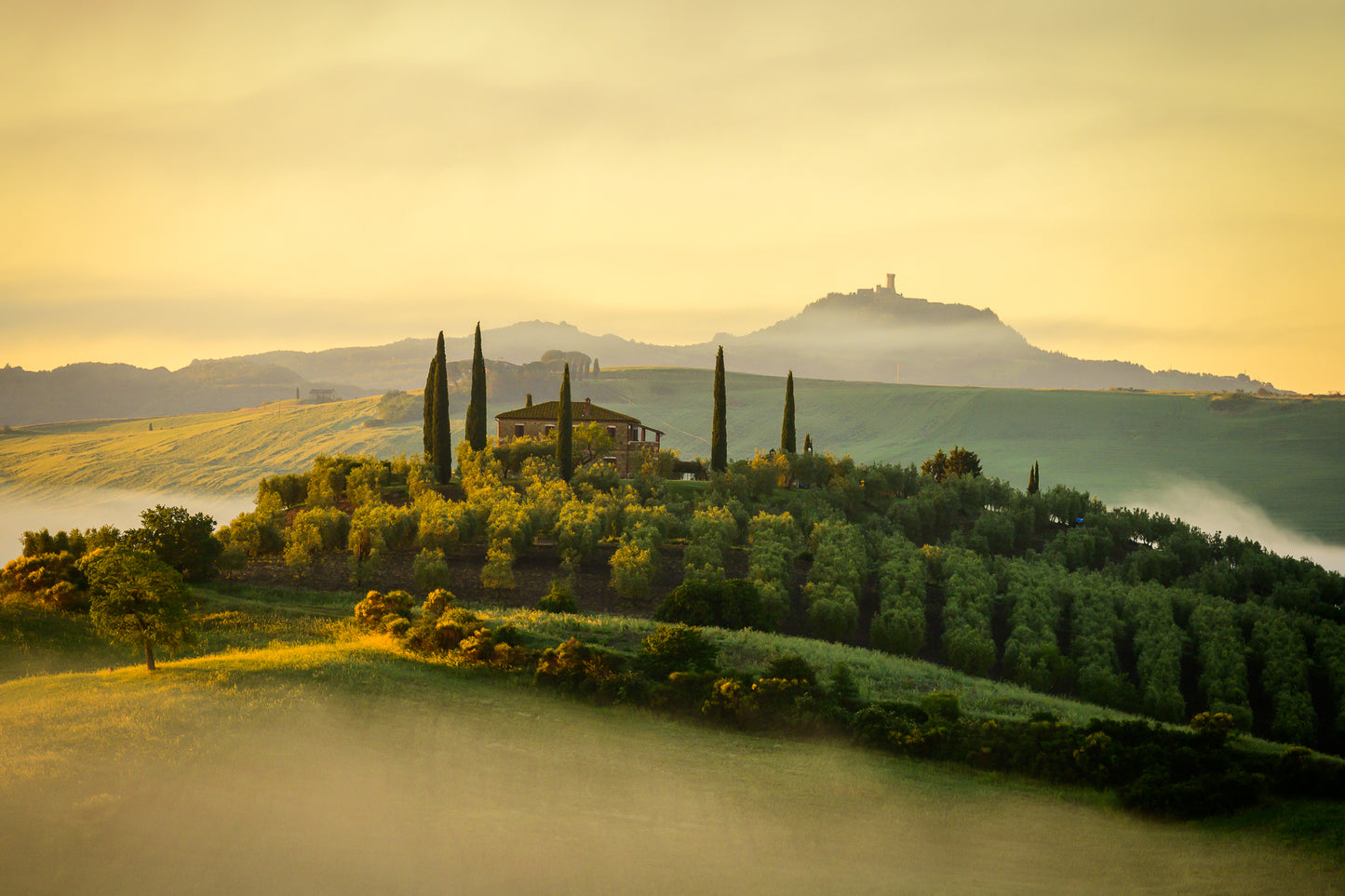 Tuscan Morning