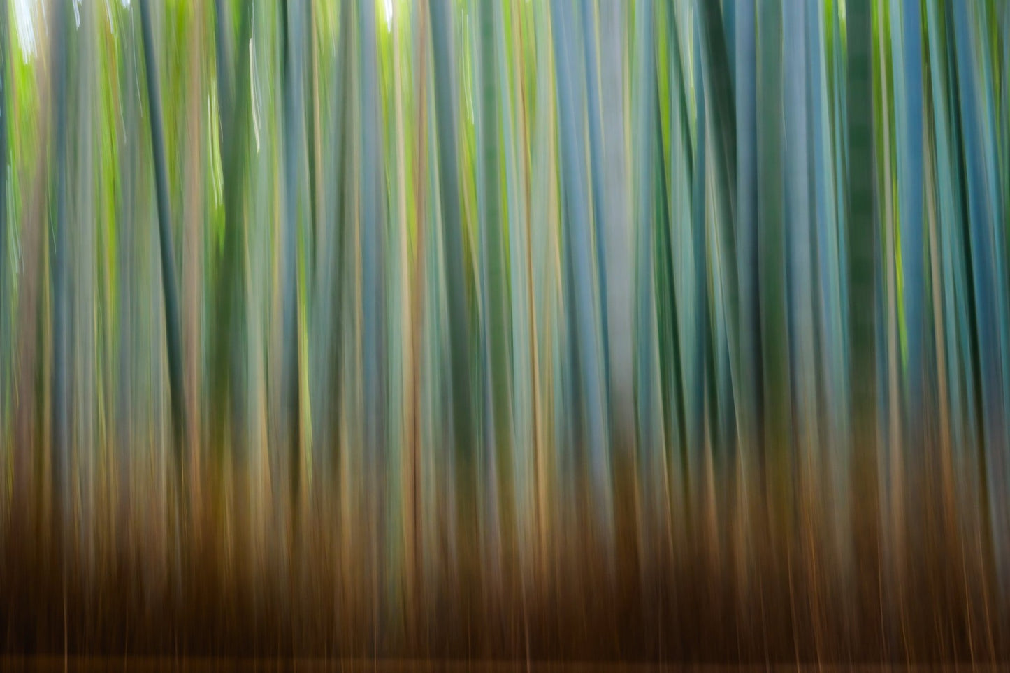 Arashiyama Dreams - Allie Richards Photography