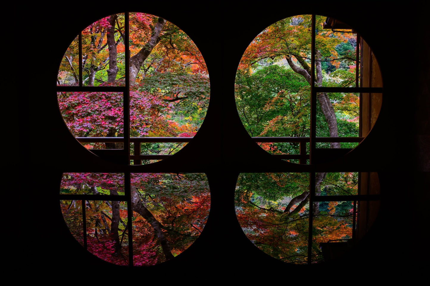 Autumn Enlightenment - Allie Richards Photography