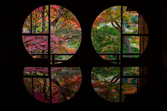 Autumn Enlightenment - Allie Richards Photography