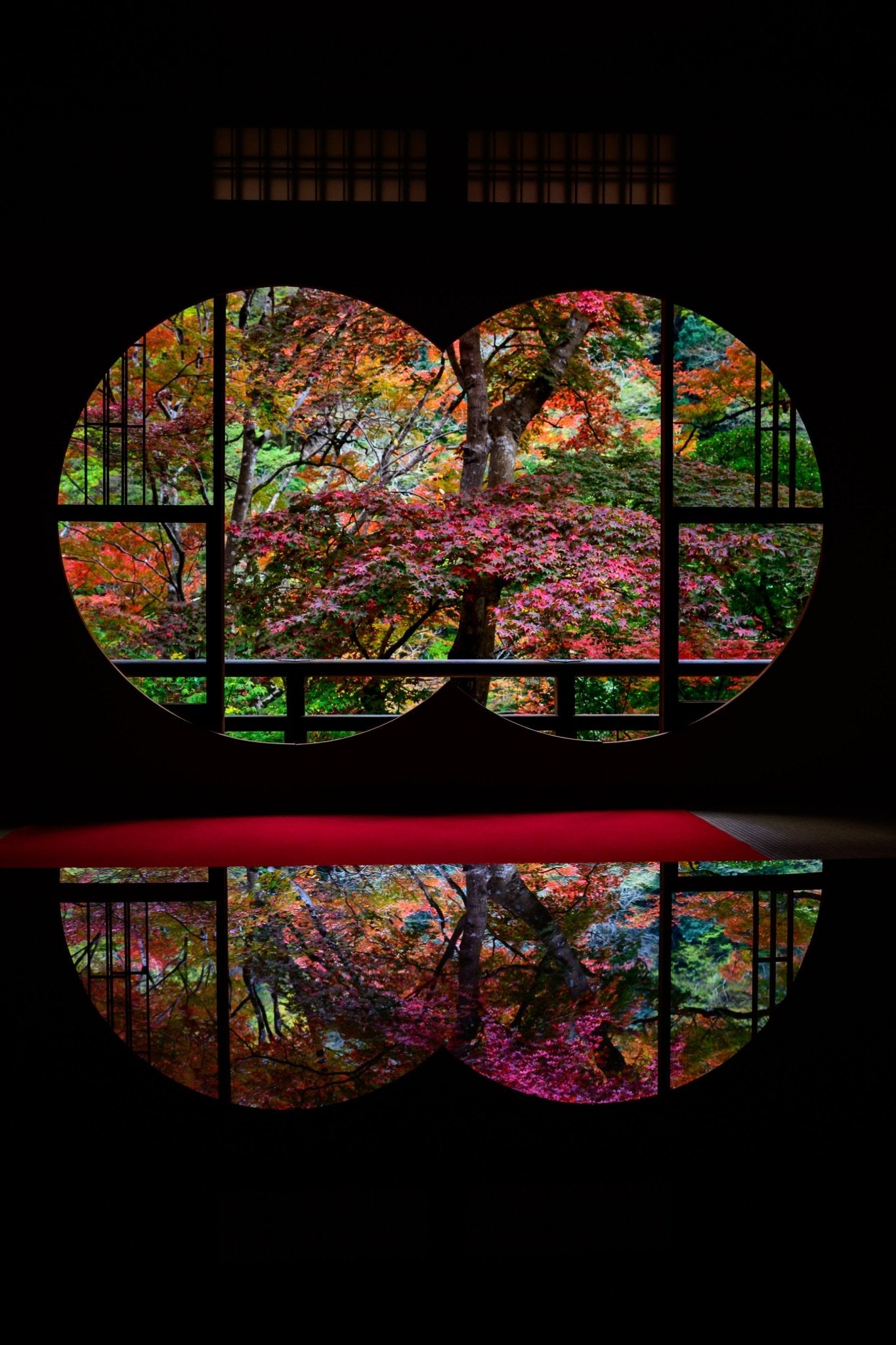 Autumn Enlightenment II - Allie Richards Photography