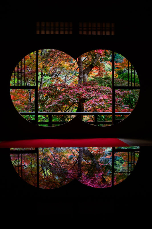 Autumn Enlightenment II - Allie Richards Photography