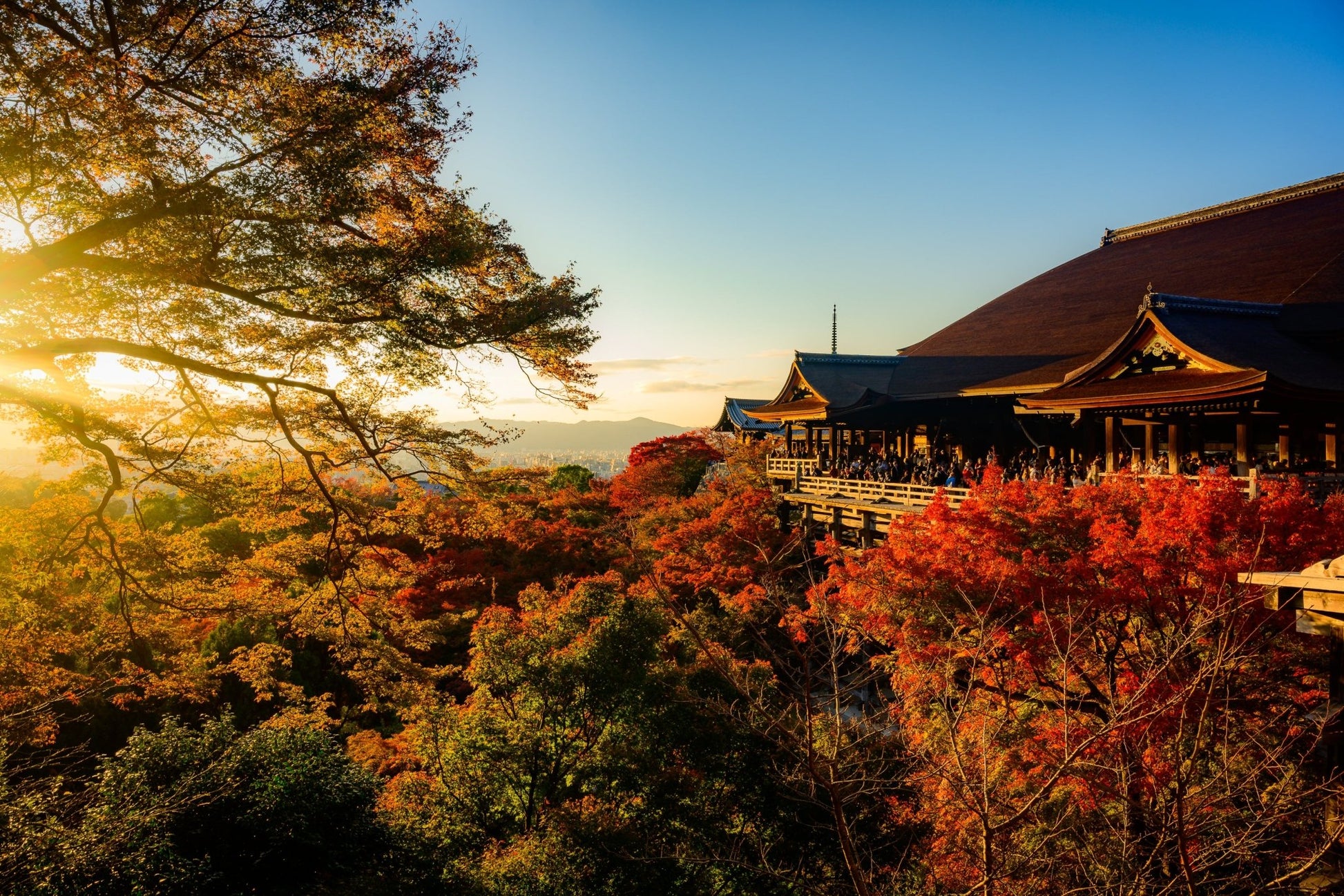 Autumn Glow at Kiyomizu - dera - Allie Richards Photography