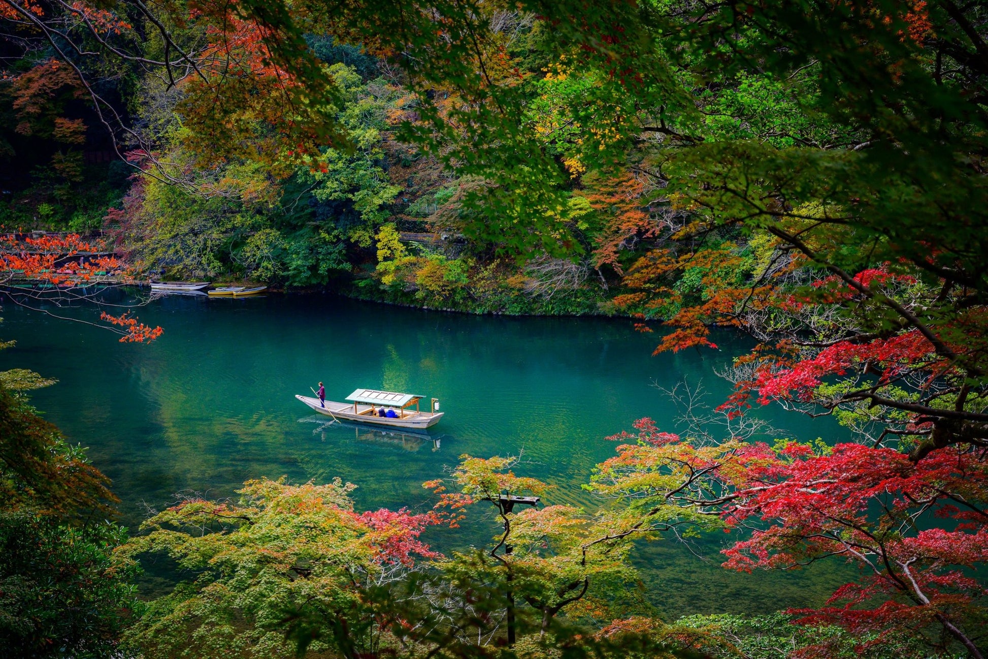 Autumn on the Katsura River - Allie Richards Photography