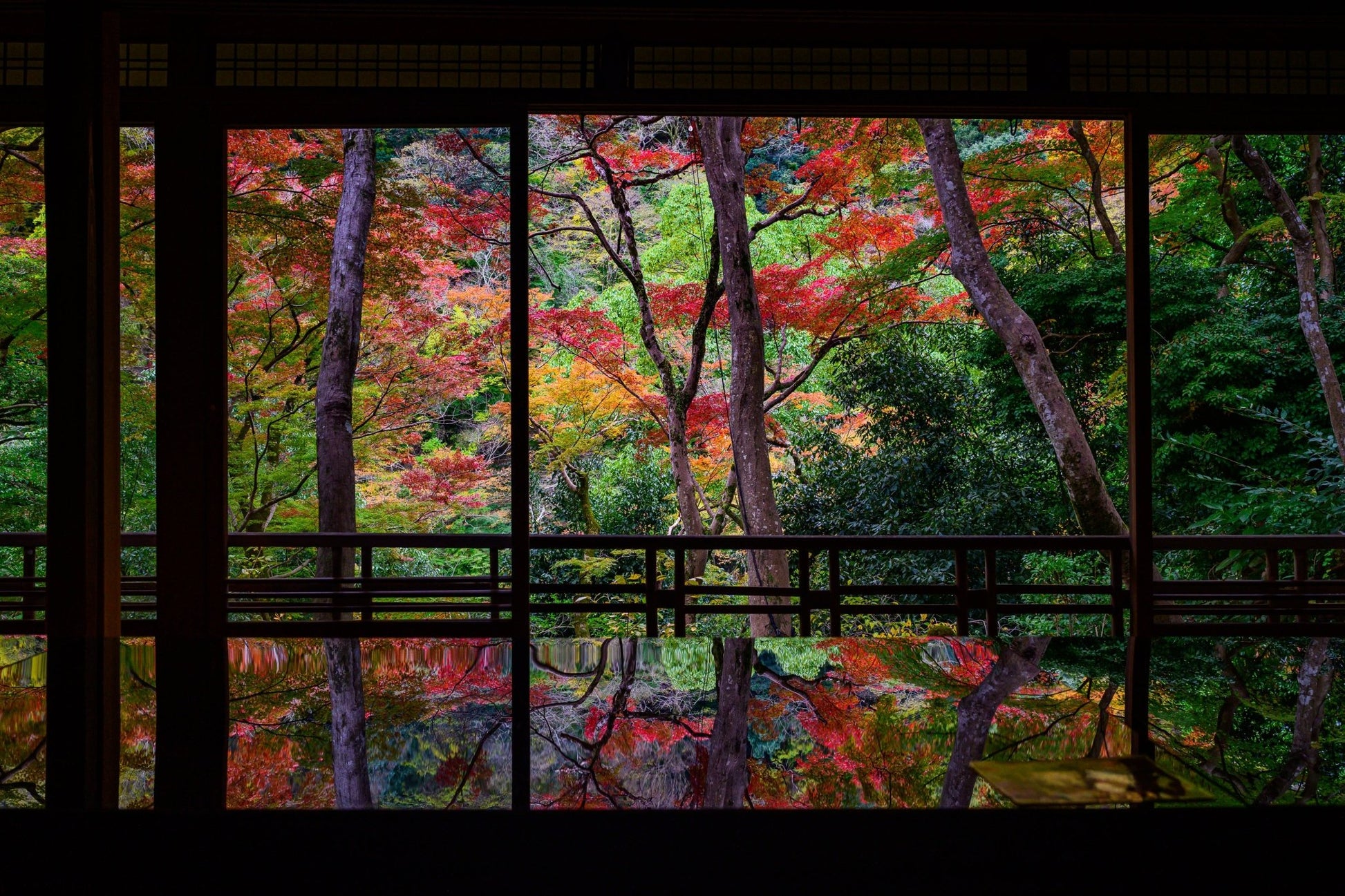 Autumn Reflections - Allie Richards Photography