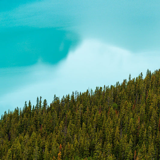 Azure - Allie Richards Photography