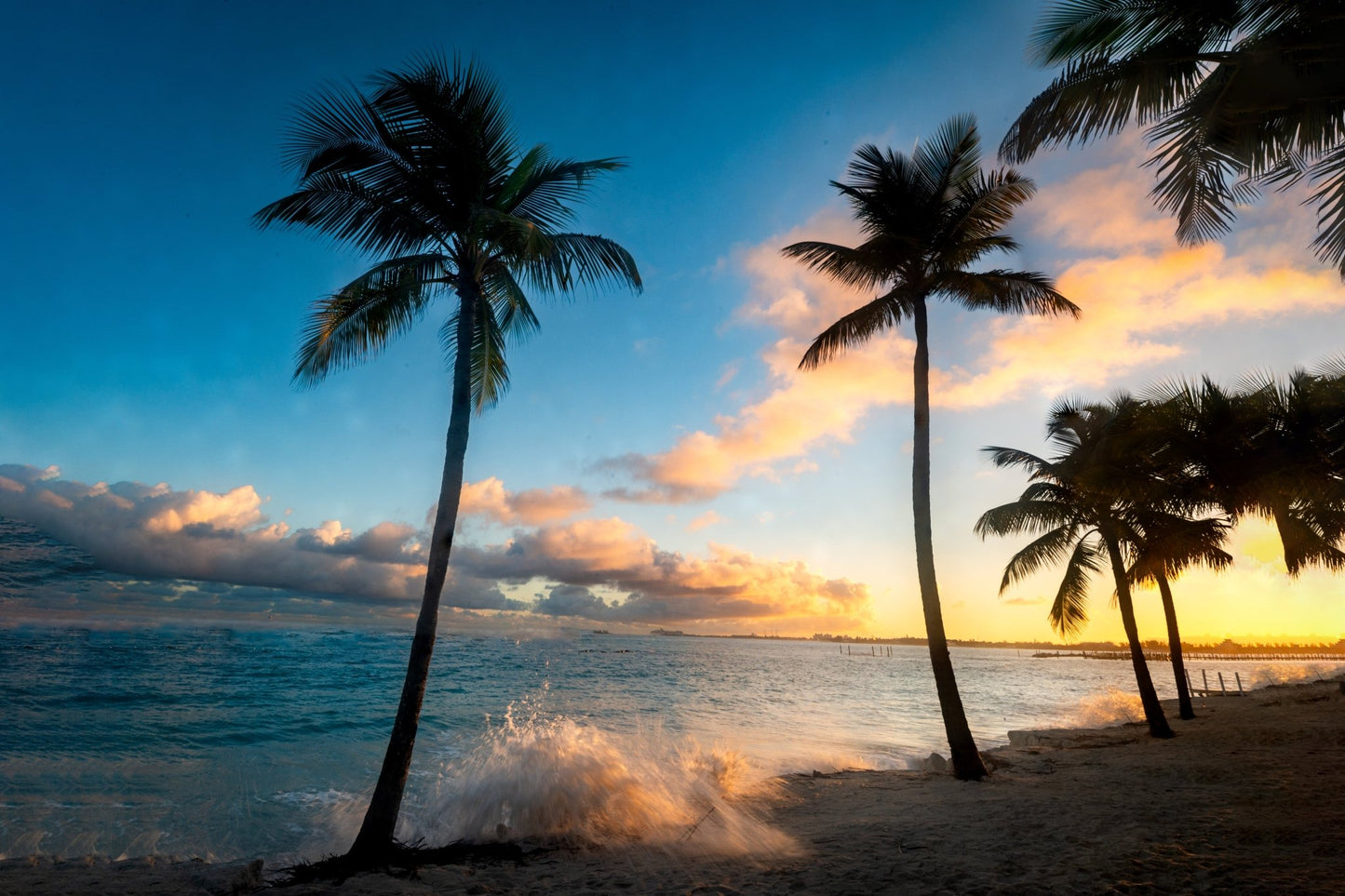 Bahama Breeze - Allie Richards Photography