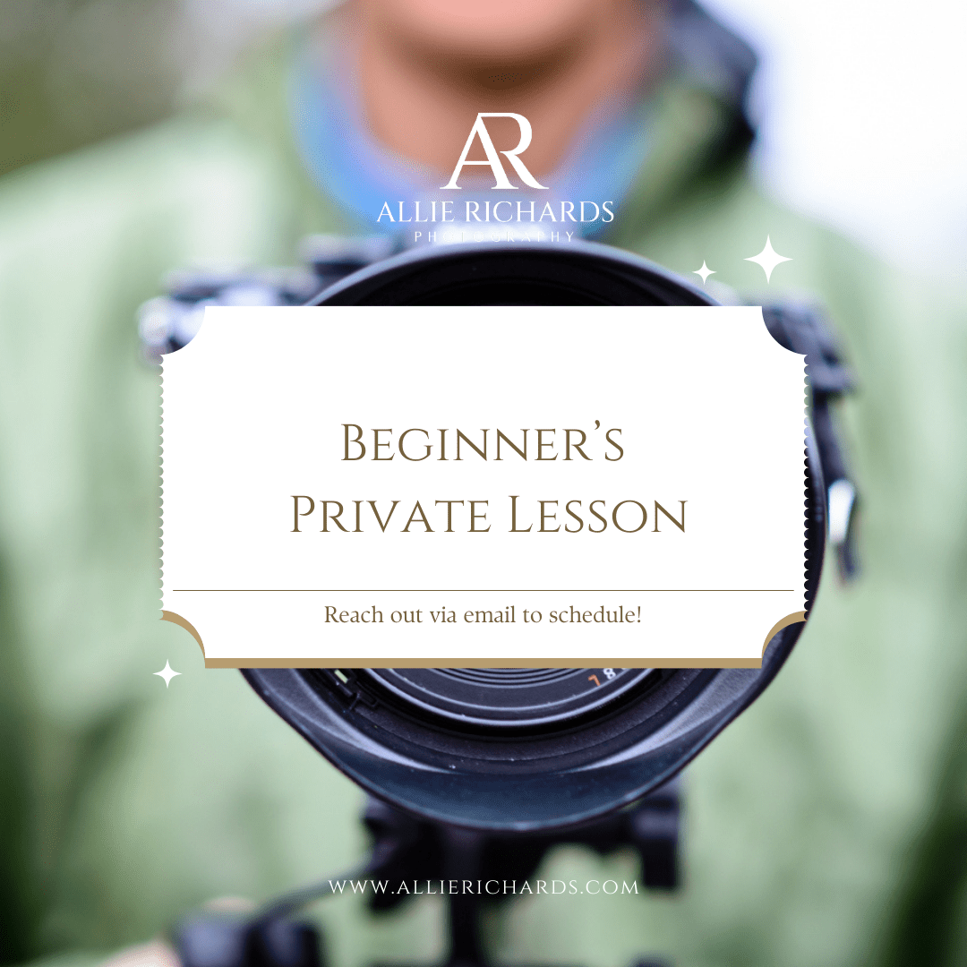 Beginner's Session - Allie Richards Photography