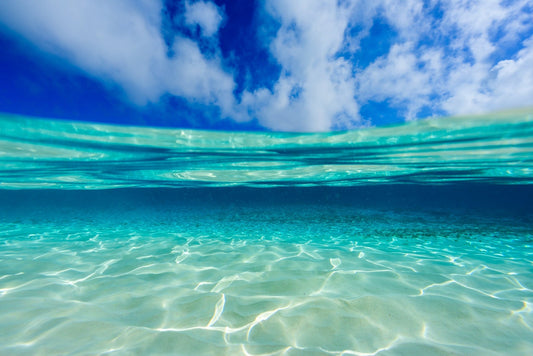 Blue Brilliance - Allie Richards Photography