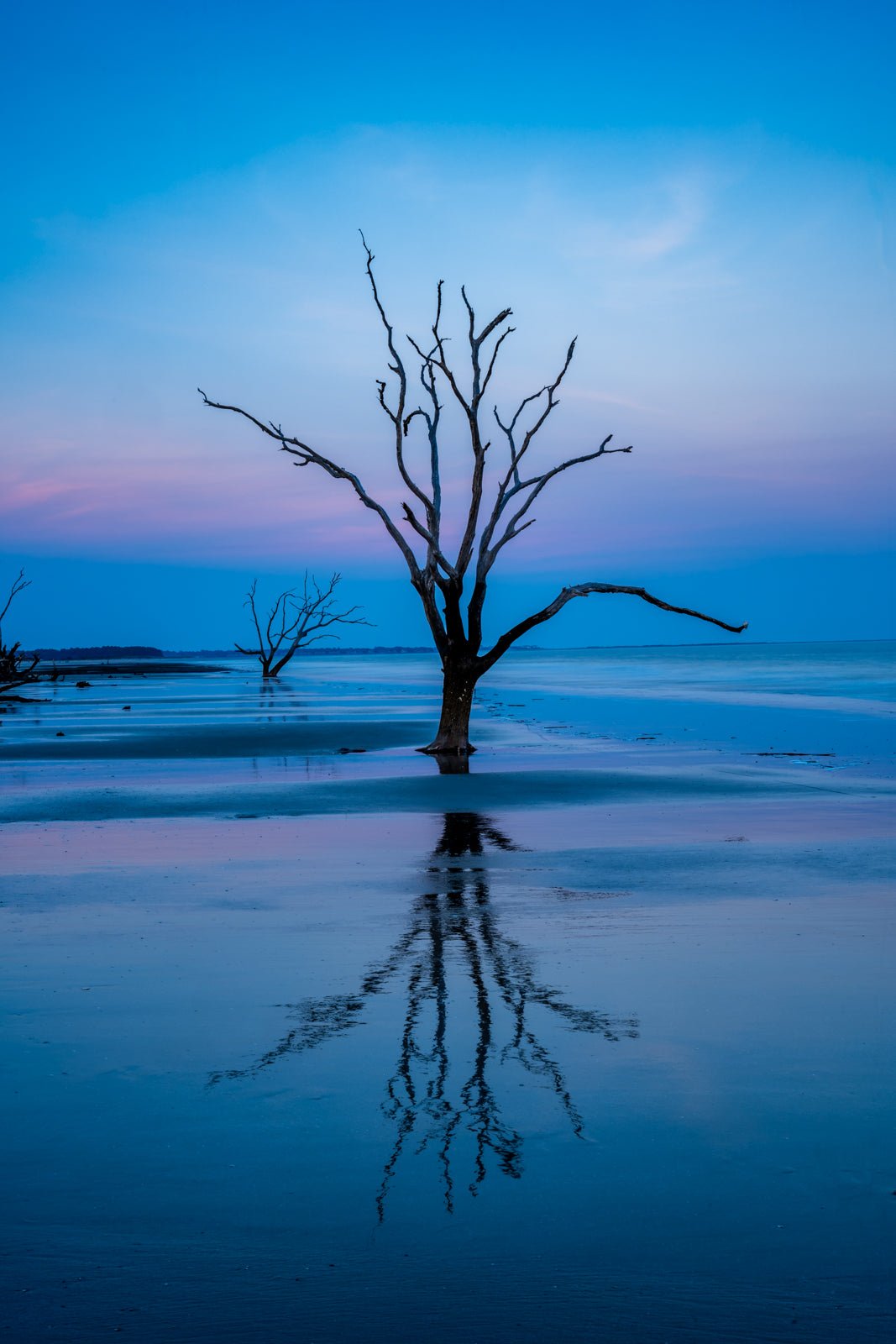 Blue Hour in the Boneyard - Allie Richards Photography