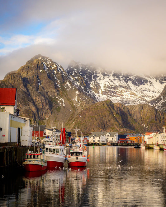 Boats in Port - Allie Richards Photography