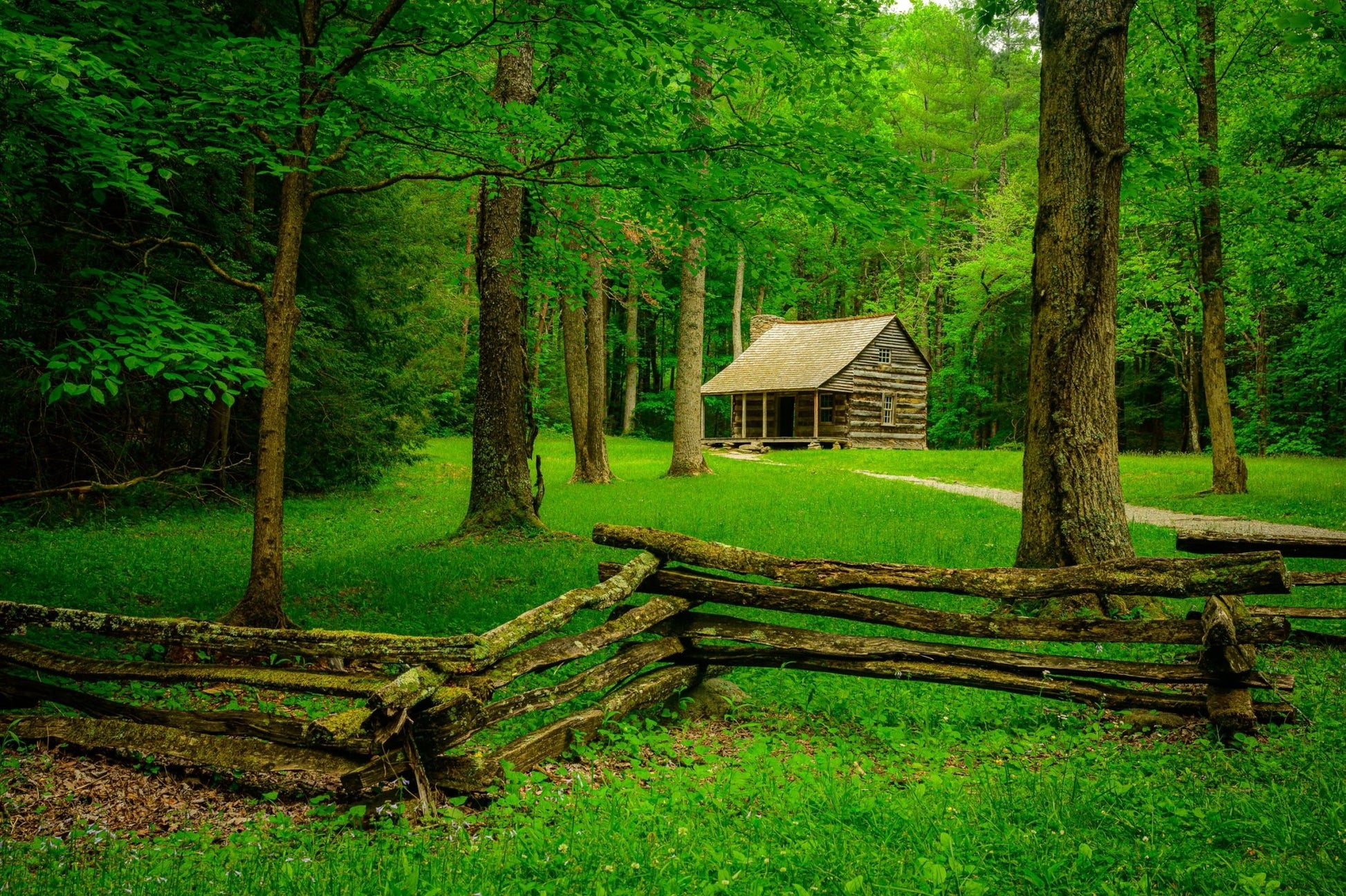 Carter Shields Cabin - Allie Richards Photography