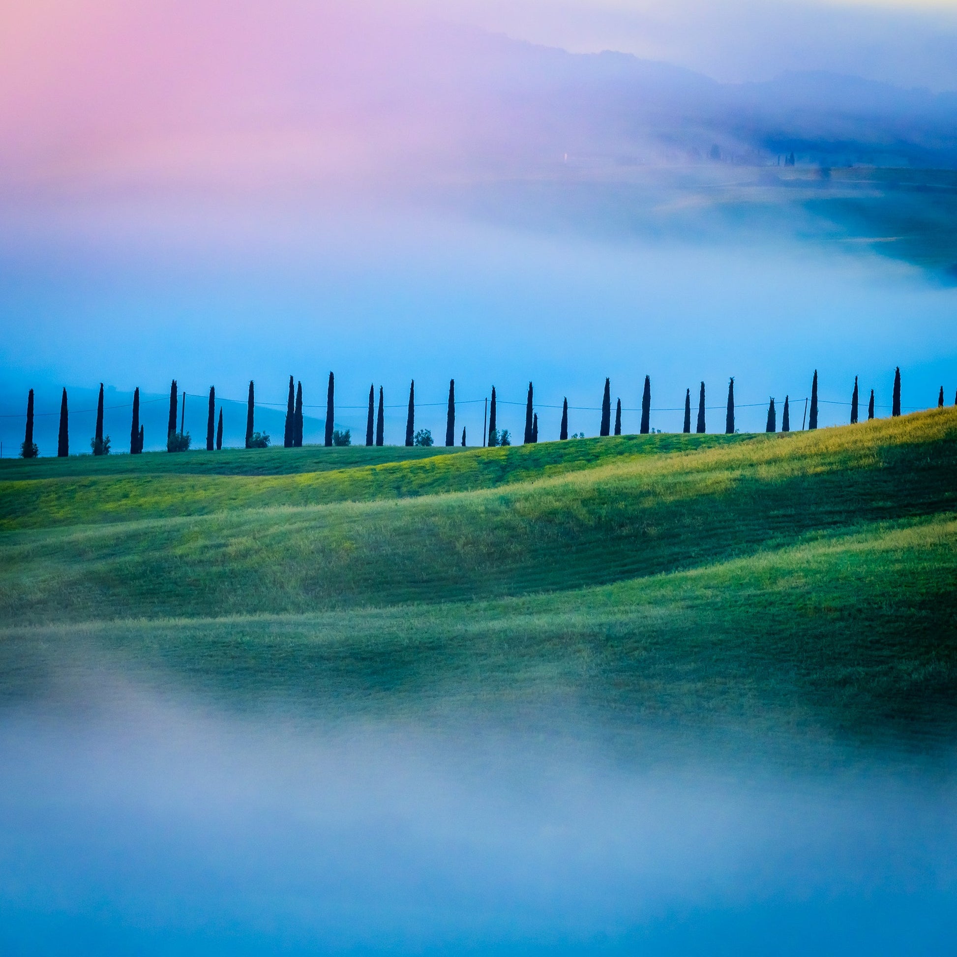 Caught in a Rainbow Fog - Allie Richards Photography