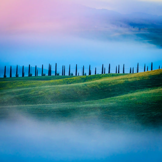 Caught in a Rainbow Fog - Allie Richards Photography