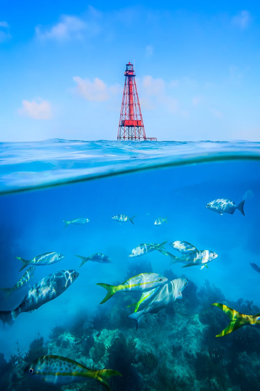 Day on Sombrero Reef - Allie Richards Photography