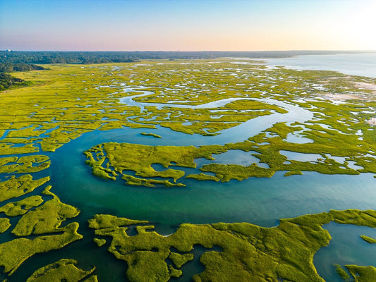 Day on the Bay - Allie Richards Photography