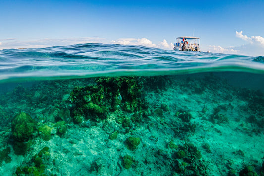 Day on the Reef - Allie Richards Photography