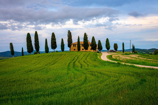 Evening at i Cipressi - Allie Richards Photography