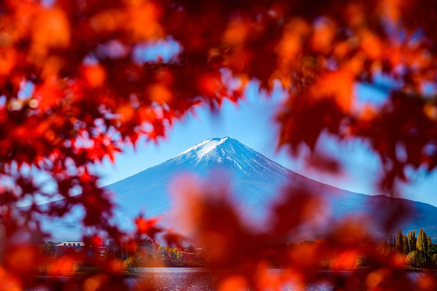 Fall at Mt. Fuji - Allie Richards Photography