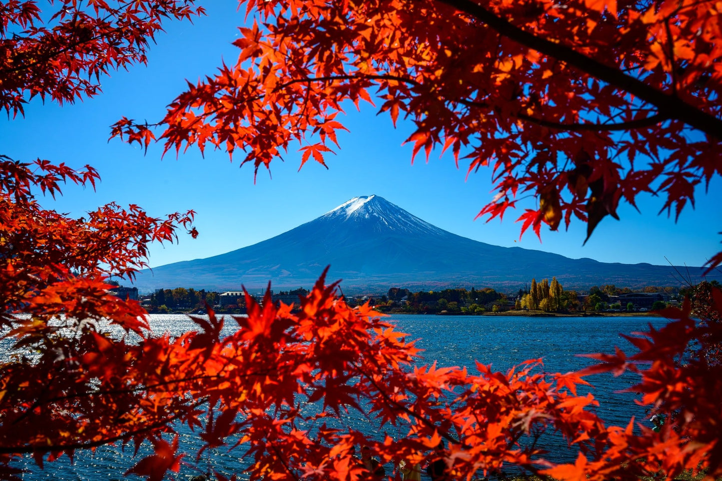 Fall at Mt. Fuji II - Allie Richards Photography