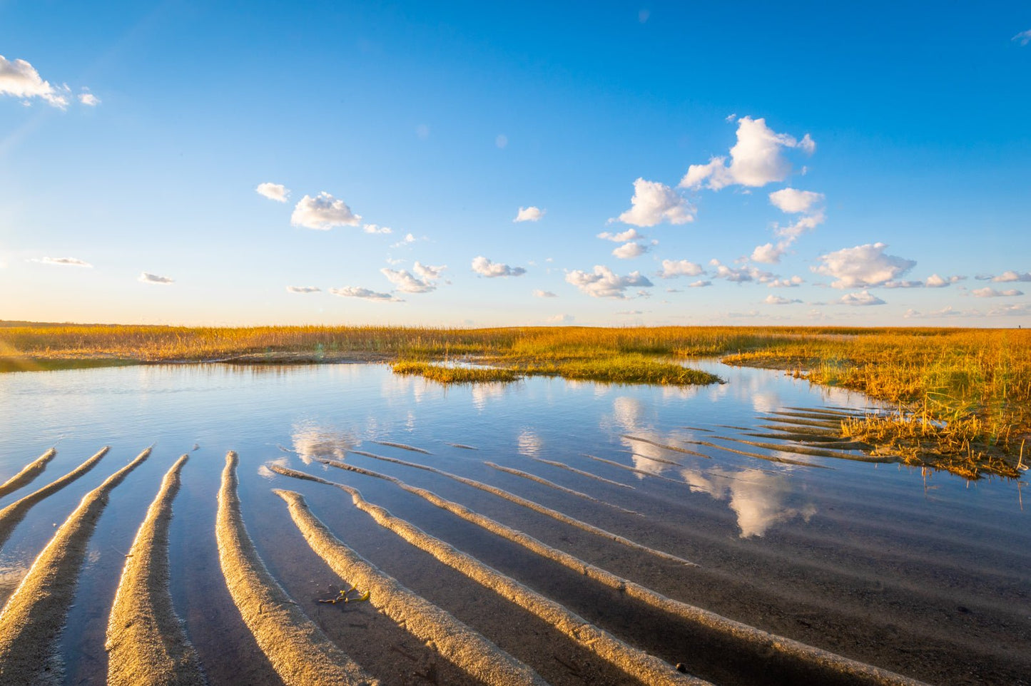 Flats Reflected - Allie Richards Photography