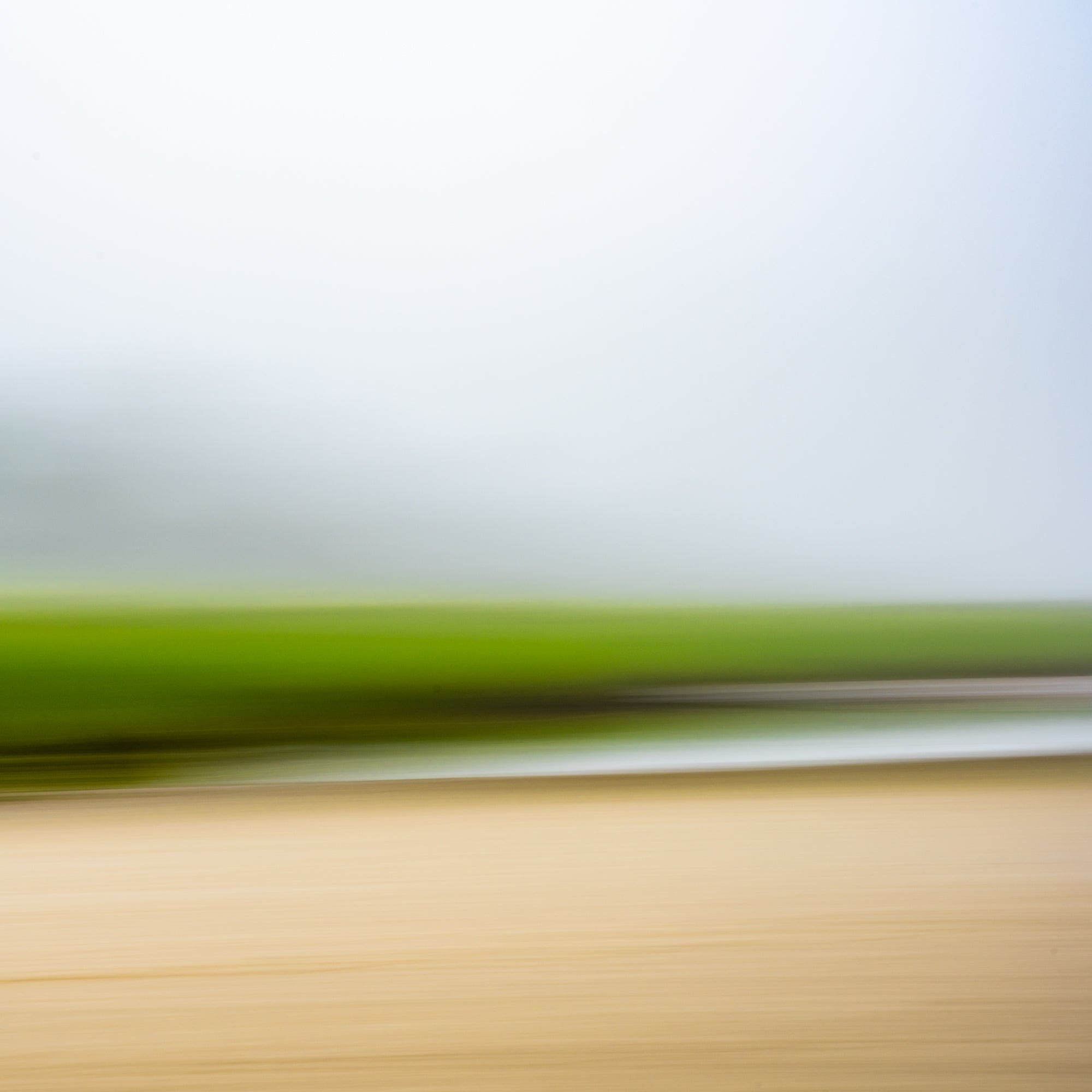 Fogged In – Allie Richards Photography