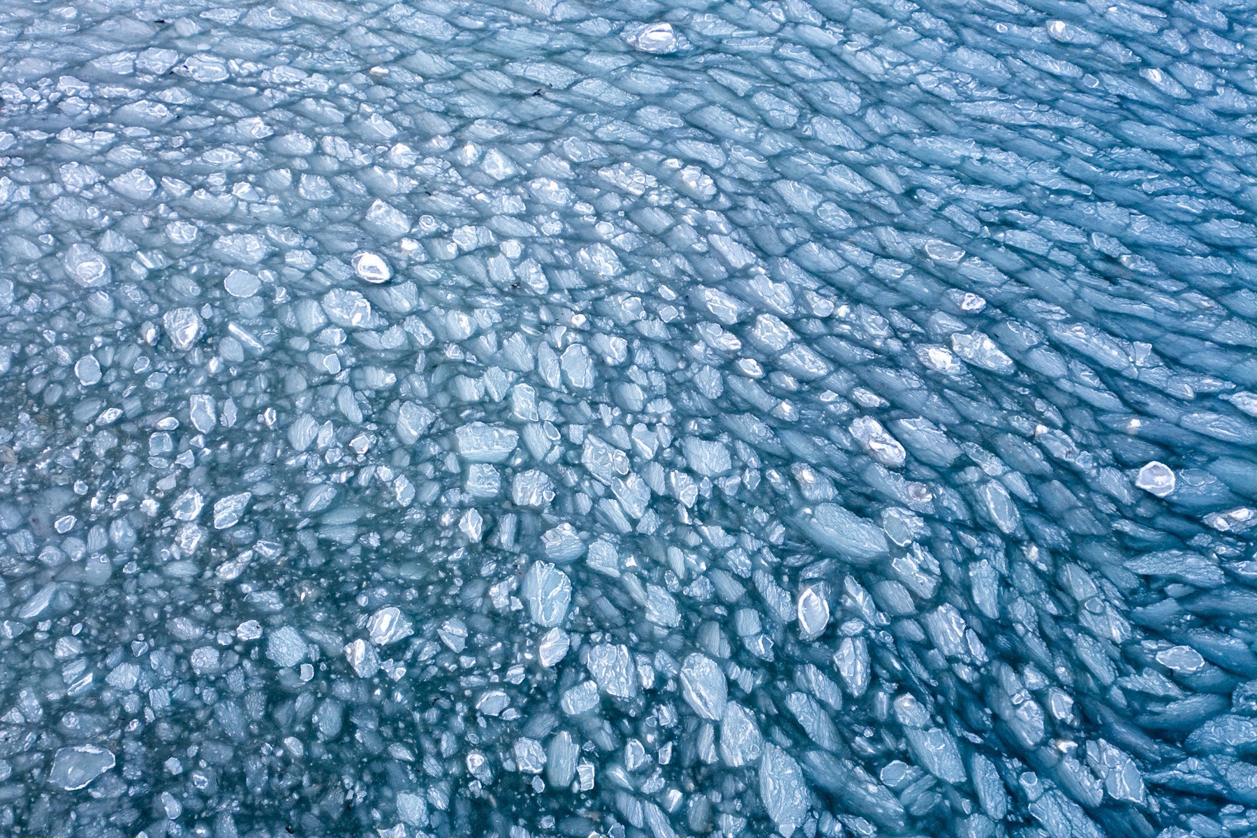 Frozen Bay - Allie Richards Photography