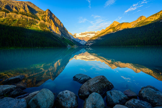 Glacier Gold - Allie Richards Photography
