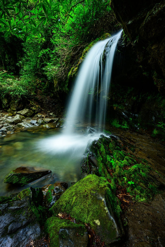 Grotto Falls - Allie Richards Photography