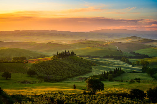 Hills of Gold - Allie Richards Photography