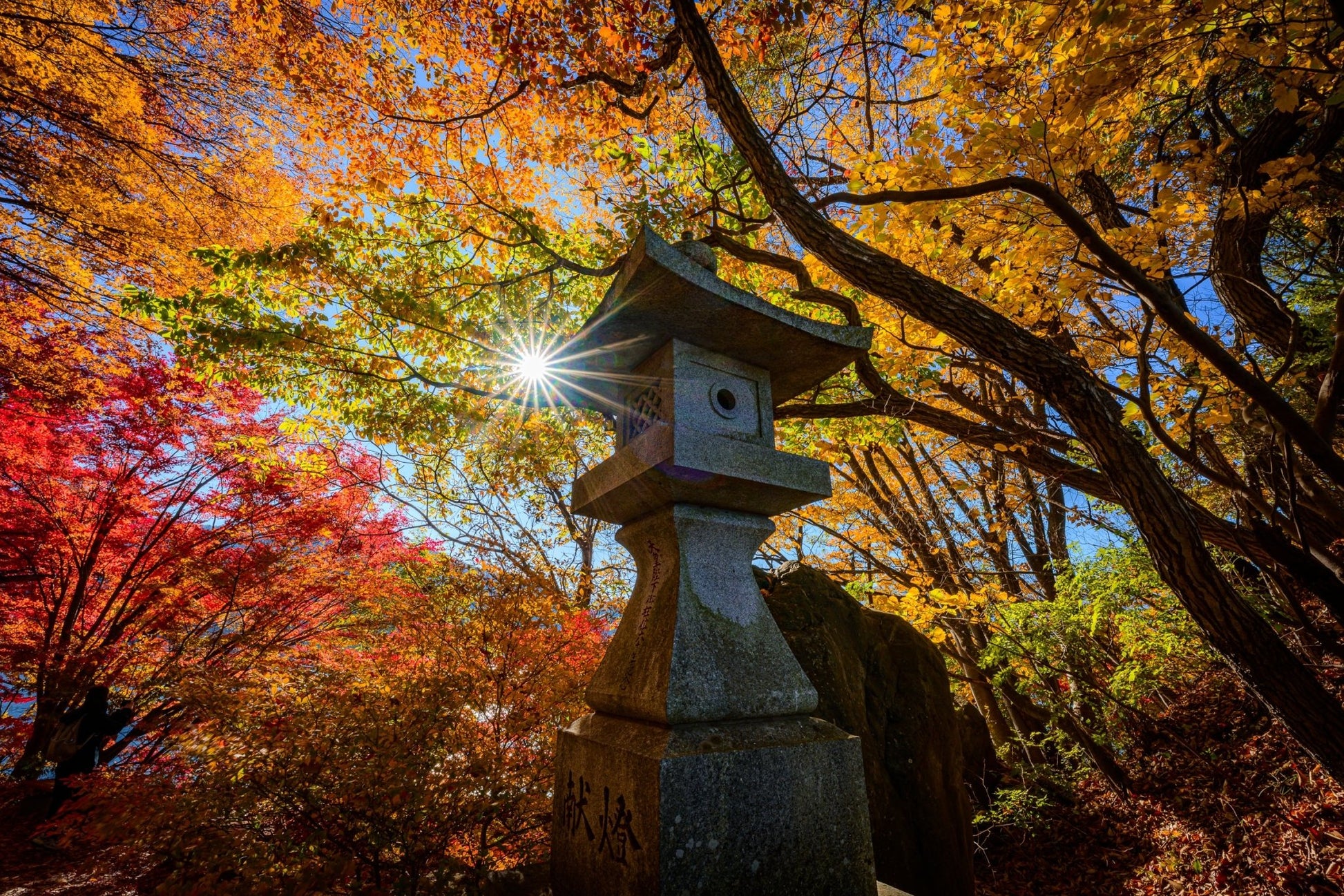 Ishi - doro - Allie Richards Photography