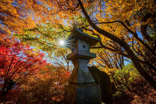 Ishi - doro - Allie Richards Photography