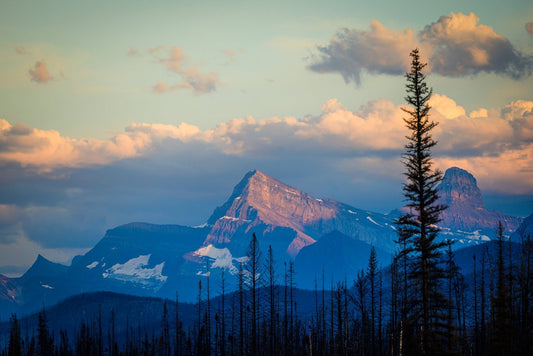 Jasper Peaks, Sunset - Allie Richards Photography