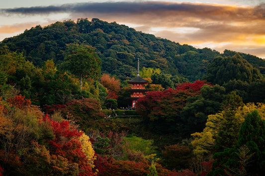 Koyaso - no - tu - Allie Richards Photography