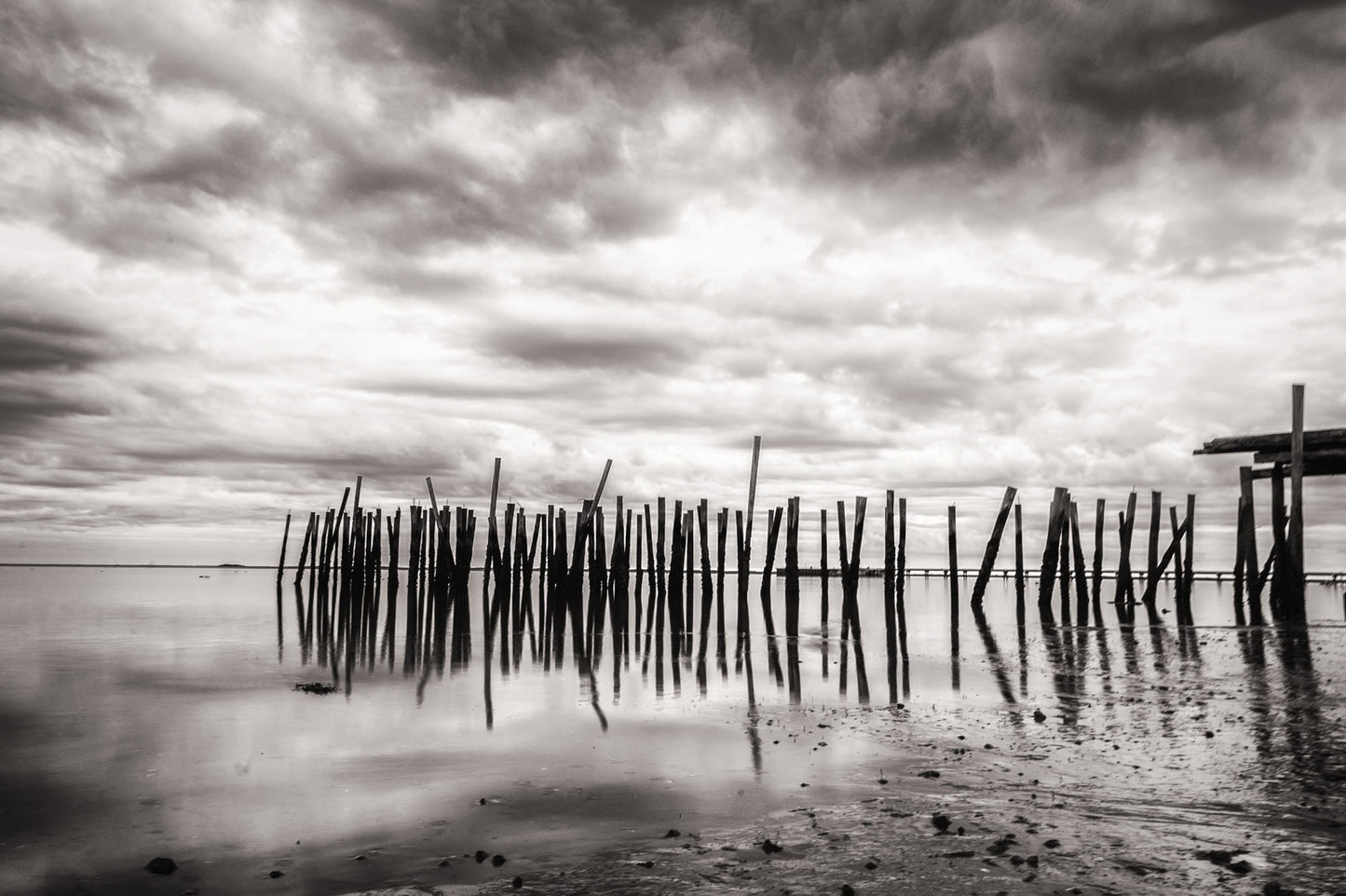 Lancy's Wharf - Allie Richards Photography