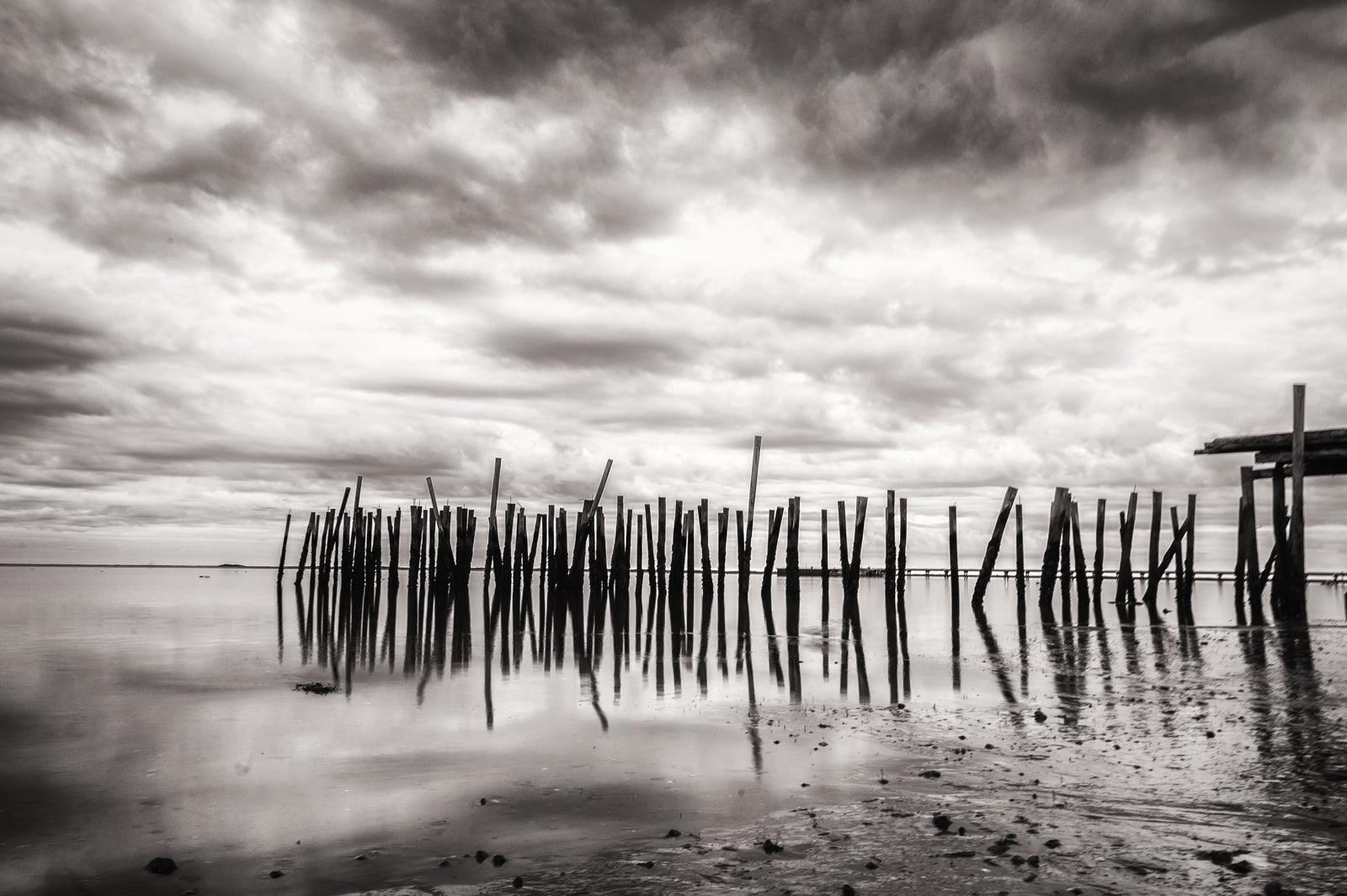 Lancy's Wharf - Allie Richards Photography