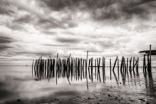 Lancy's Wharf - Allie Richards Photography