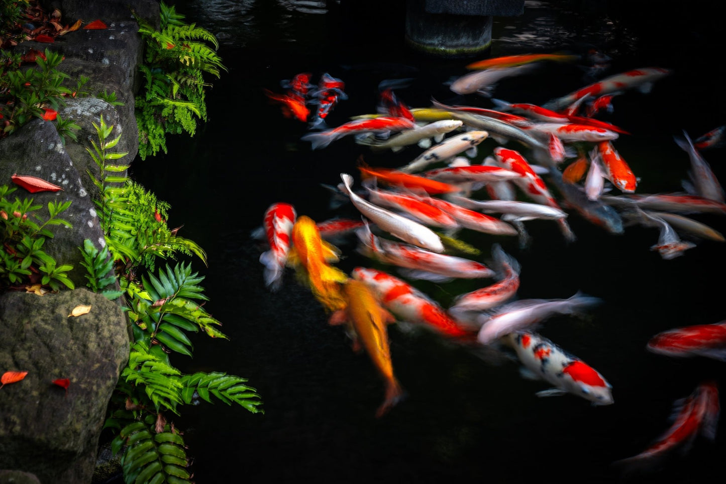 Living Meditation - Allie Richards Photography