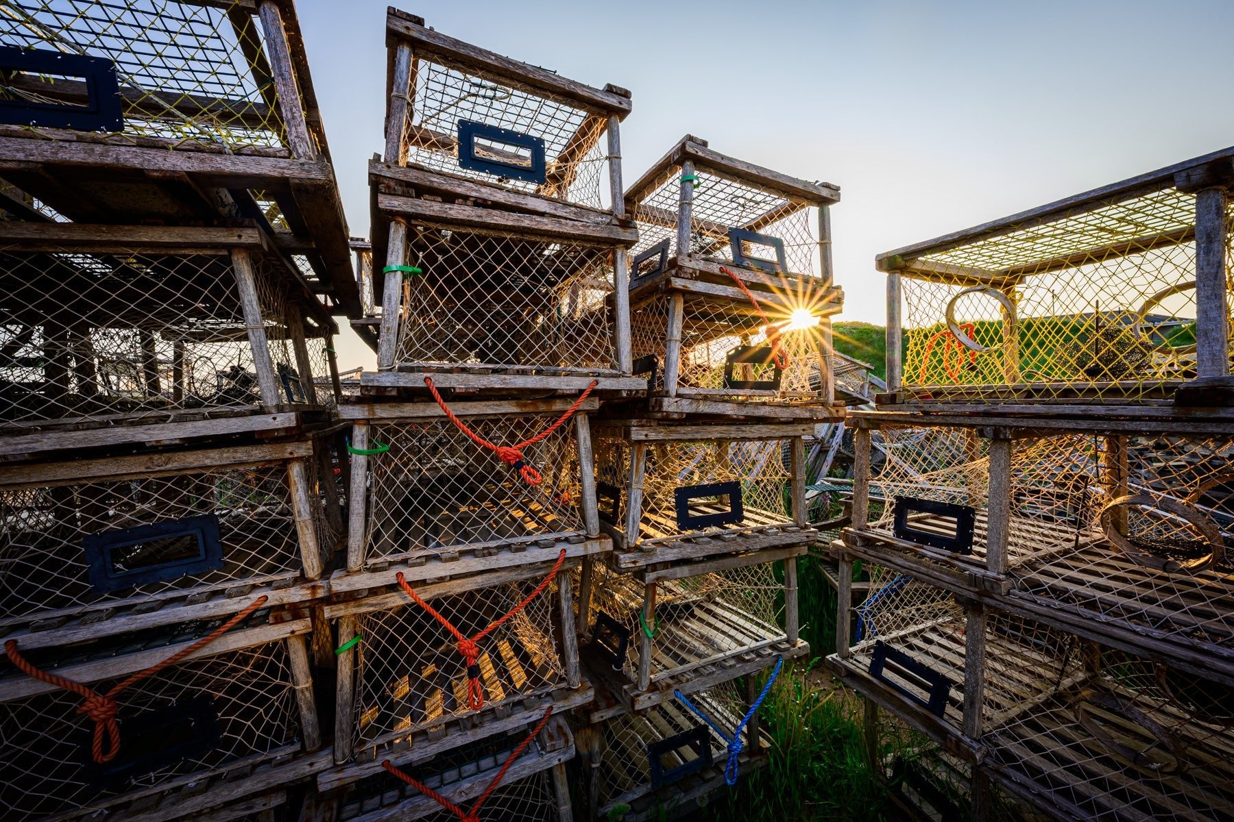 Lobsterman's Lattice - Allie Richards Photography