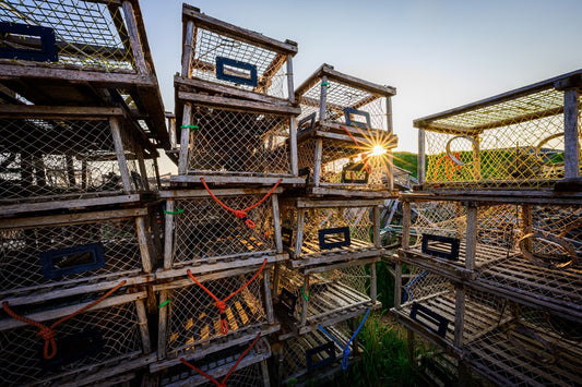 Lobsterman's Lattice - Allie Richards Photography