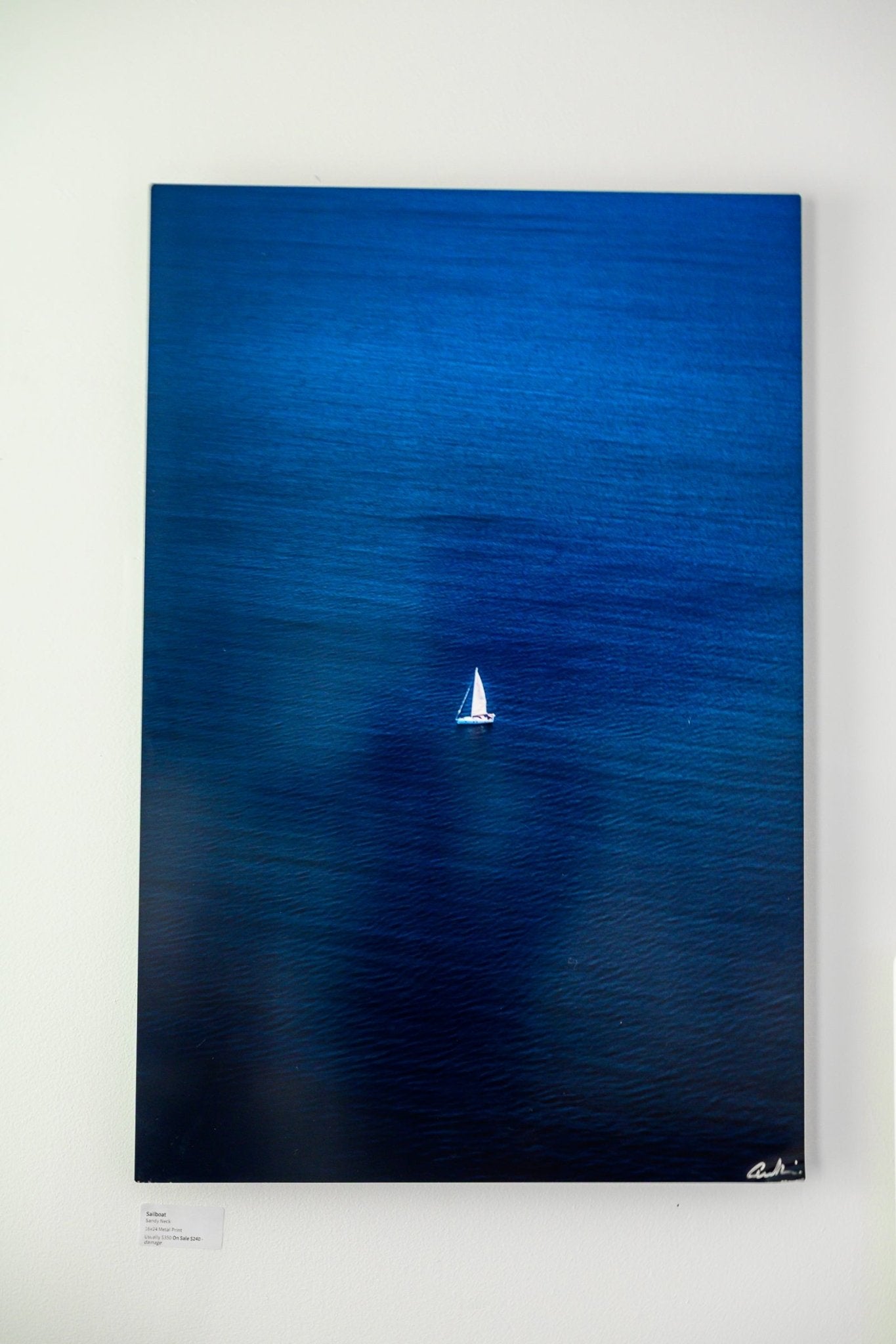 Metal Print: Sailboat 16"x24" - Allie Richards Photography