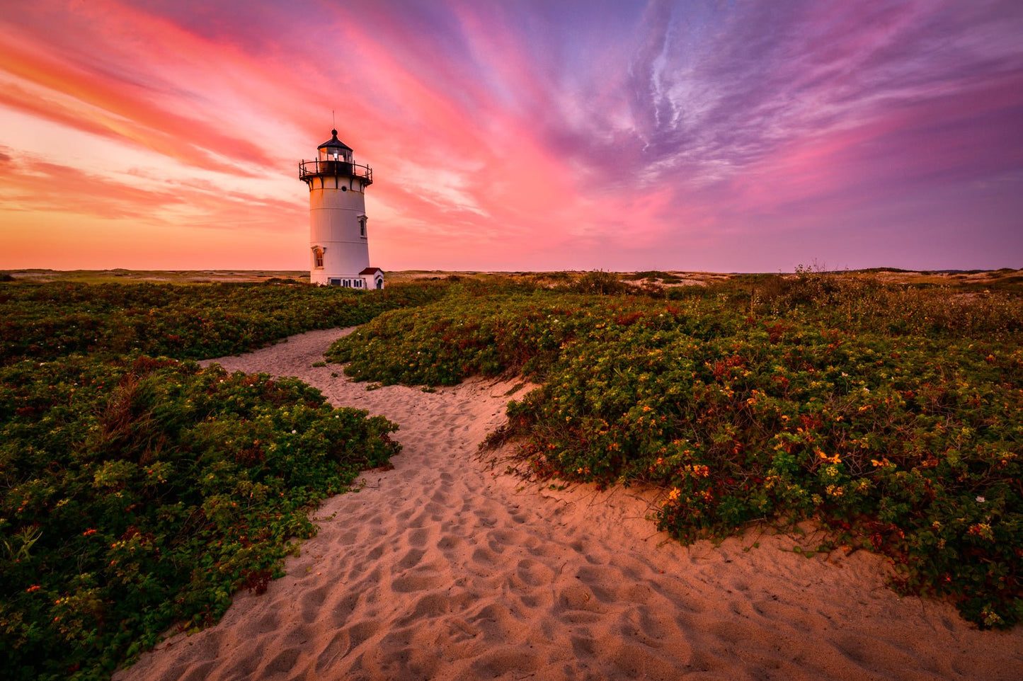 Metal Print: Sunset at Race Point Light 16x24 - Allie Richards Photography