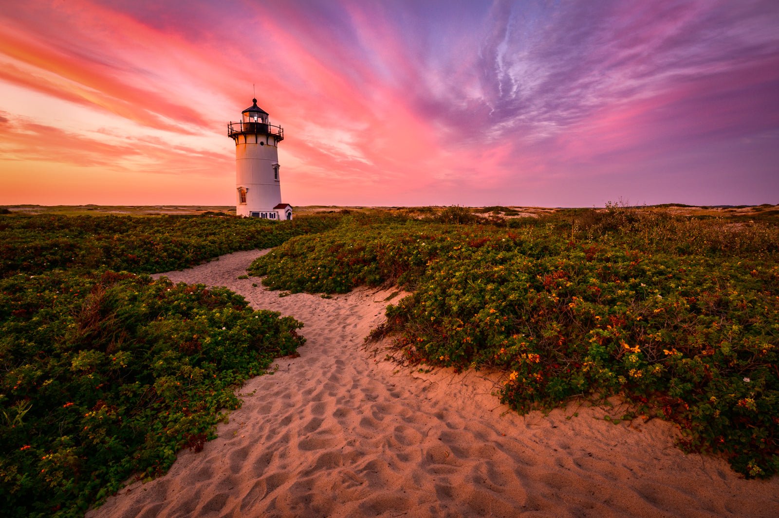 Metal Print: Sunset at Race Point Light 16x24 - Allie Richards Photography