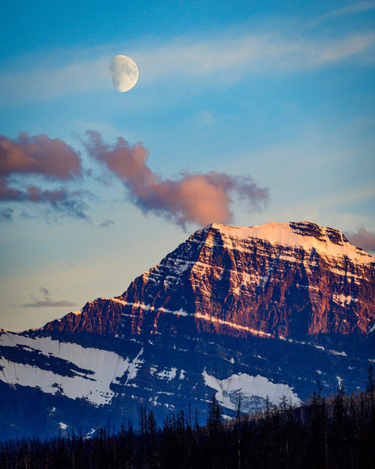 Moonrise over Mt. Edith Cavell - Allie Richards Photography